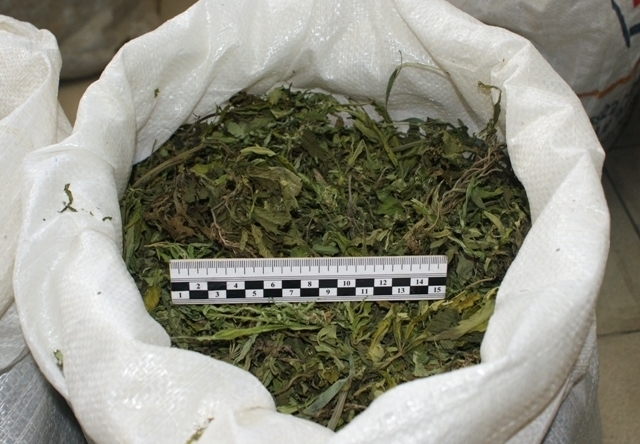 Наркотики в особо крупном размере житель Курска хранил у своей знакомой в Сенном