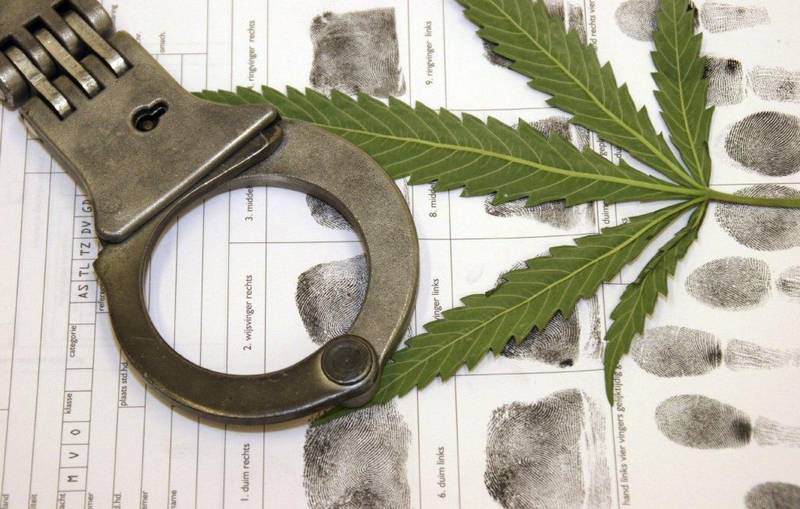 За незаконное хранение марихуаны житель Стрелки проведёт в колонии 1,5 года