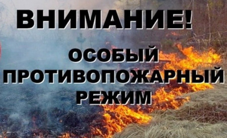 МЧС напоминает: в Темрюкском районе введён особый противопожарный режим