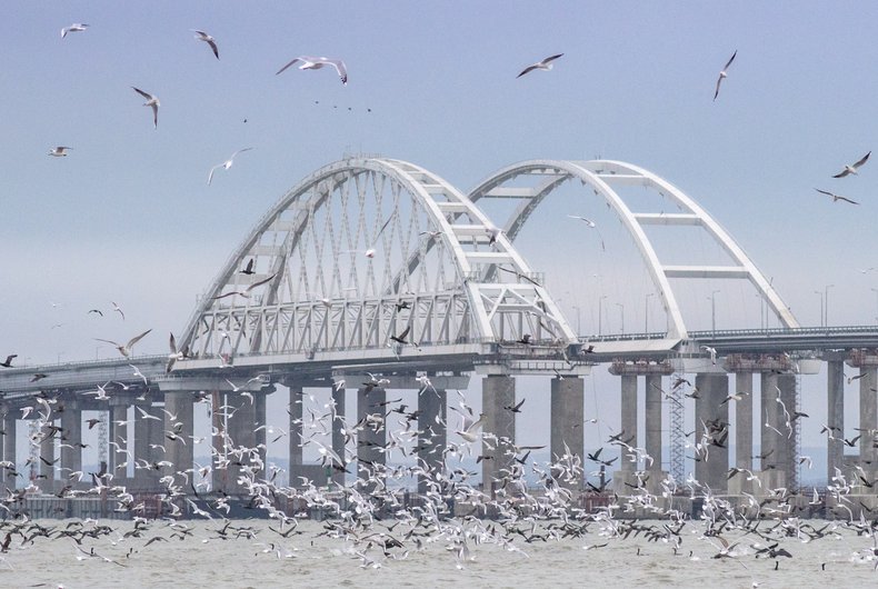 В районе Крымского моста экологи установили кормушки для птиц