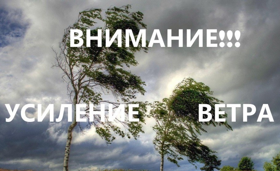 ВНИМАНИЕ: экстренное предупреждение МЧС о значительном усилении ветра в Темрюкском районе