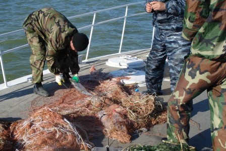 В Темрюкском заливе пограничники изъяли полкилометра браконьерских сетей