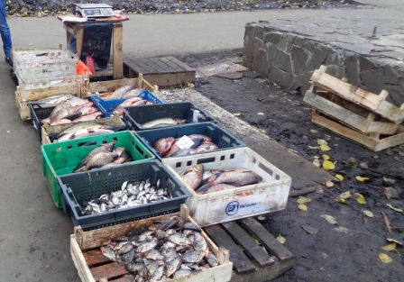 Места, где в районе традиционно незаконно торгуют рыбой, решено подвергать административному контролю ежедневно