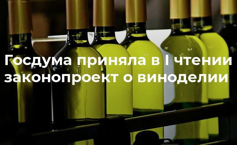 Госдума приняла в первом чтении законопроект о виноградарстве и виноделии