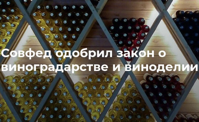 Закон о виноградарстве и виноделии одобрили в Совете Федерации