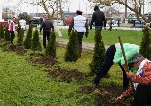 Посёлки Виноградный и Пересыпь приняли участие в акции «Сад памяти»