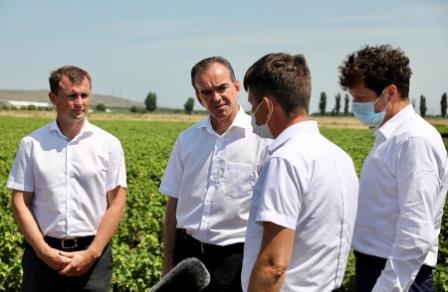 Губернатор Кубани Вениамин Кондратьев с рабочим визитом посетил Темрюкский район, где акцентировал внимание на виноградарско-винодельческой отрасли