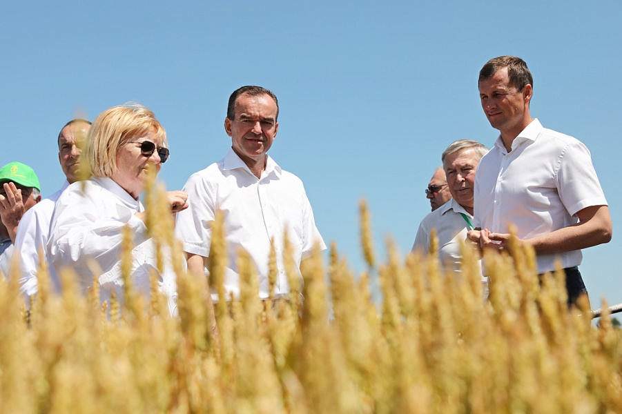 В 2022 году на Кубани планируют собрать максимально приближённый к прошлогоднему рекорду объём зерновых 