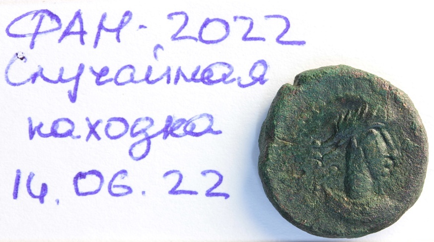 Экскурсант музея «Фанагория» прямо под ногами нашёл античную монету