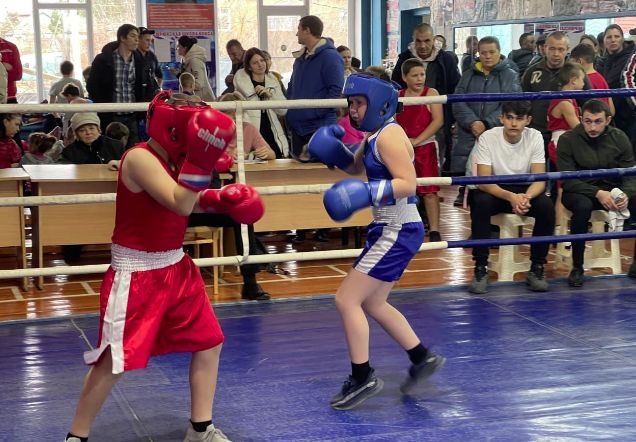 В Темрюке прошло Открытое первенство спортшколы «Виктория» по боксу среди самых юных спортсменов