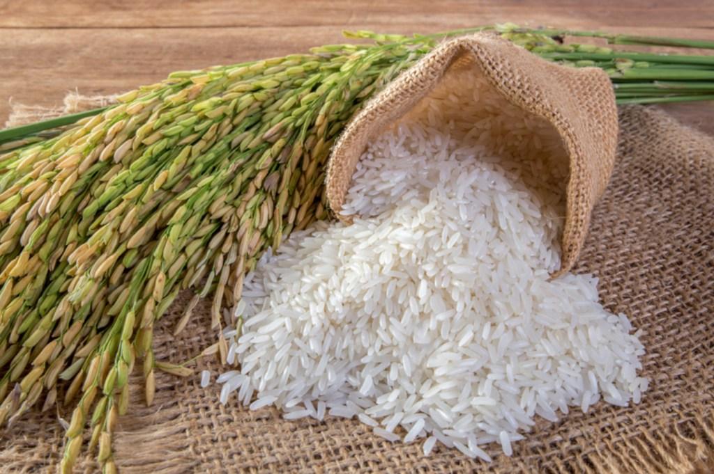 В 2023-ем урожай риса на Кубани планируется на уровне прошлого года – 60% от общероссийского сбора