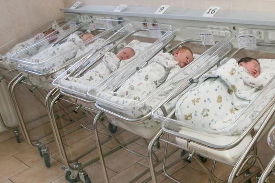 В 2023 году на Кубани родилось почти 54 тысячи малышей