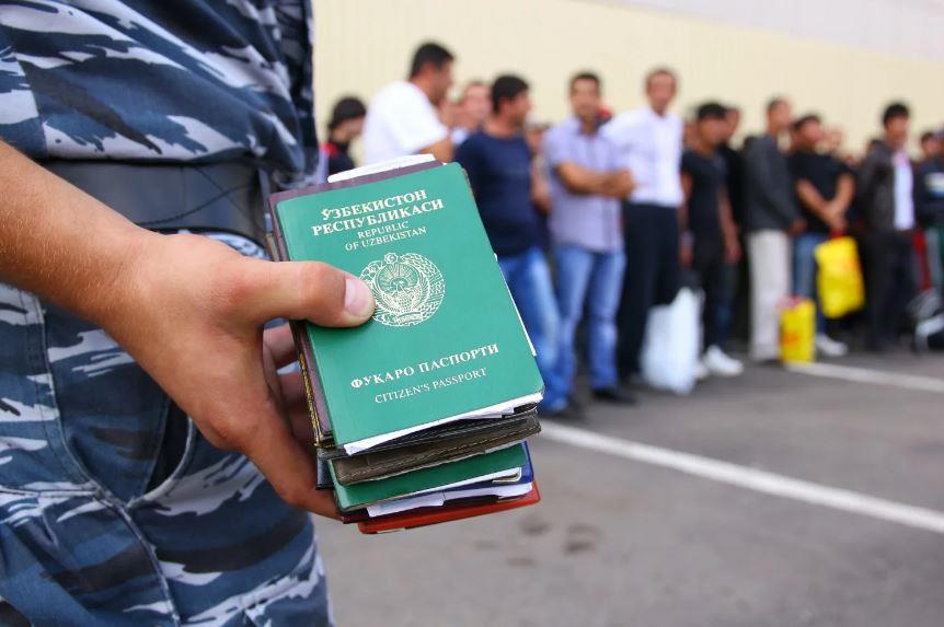 На Кубани ввели запрет на работу иностранных граждан по патентам