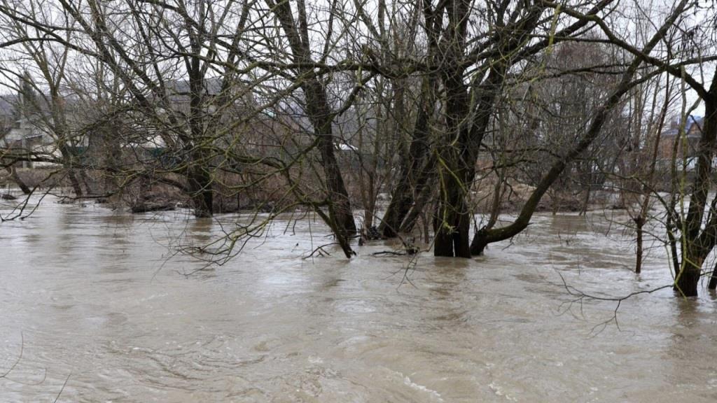 В Темрюкском районе может произойти разлив реки Кубани