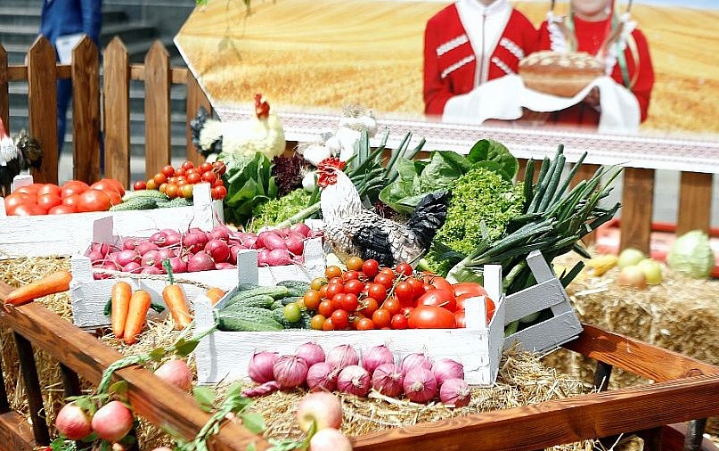 Казачьи предприятия Кубани увеличили производство сельхозпродукции в 2 раза