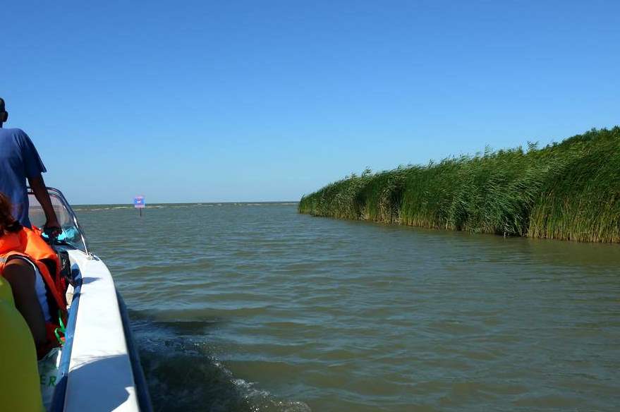 На Кубани готовится программа по оздоровлению рек Азово-Черноморского бассейна и самого Азовского моря